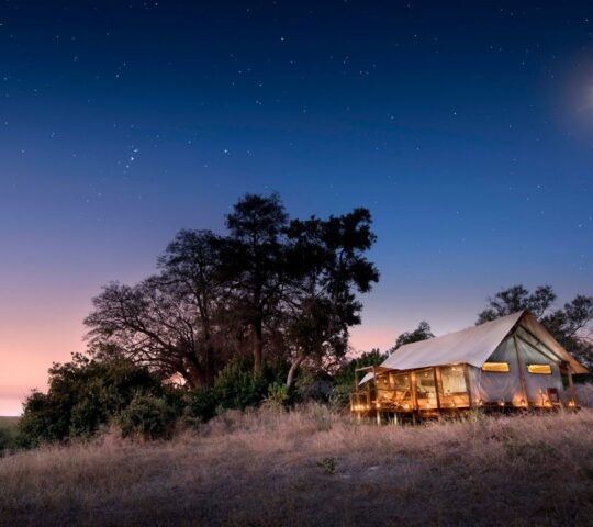 Wide view of a tented building in a grassy area at night