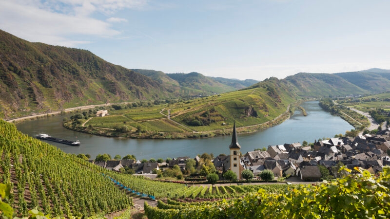 A wide view of a prominent bend in the Rhine River surrounded by hillsides of terraced vineyards.