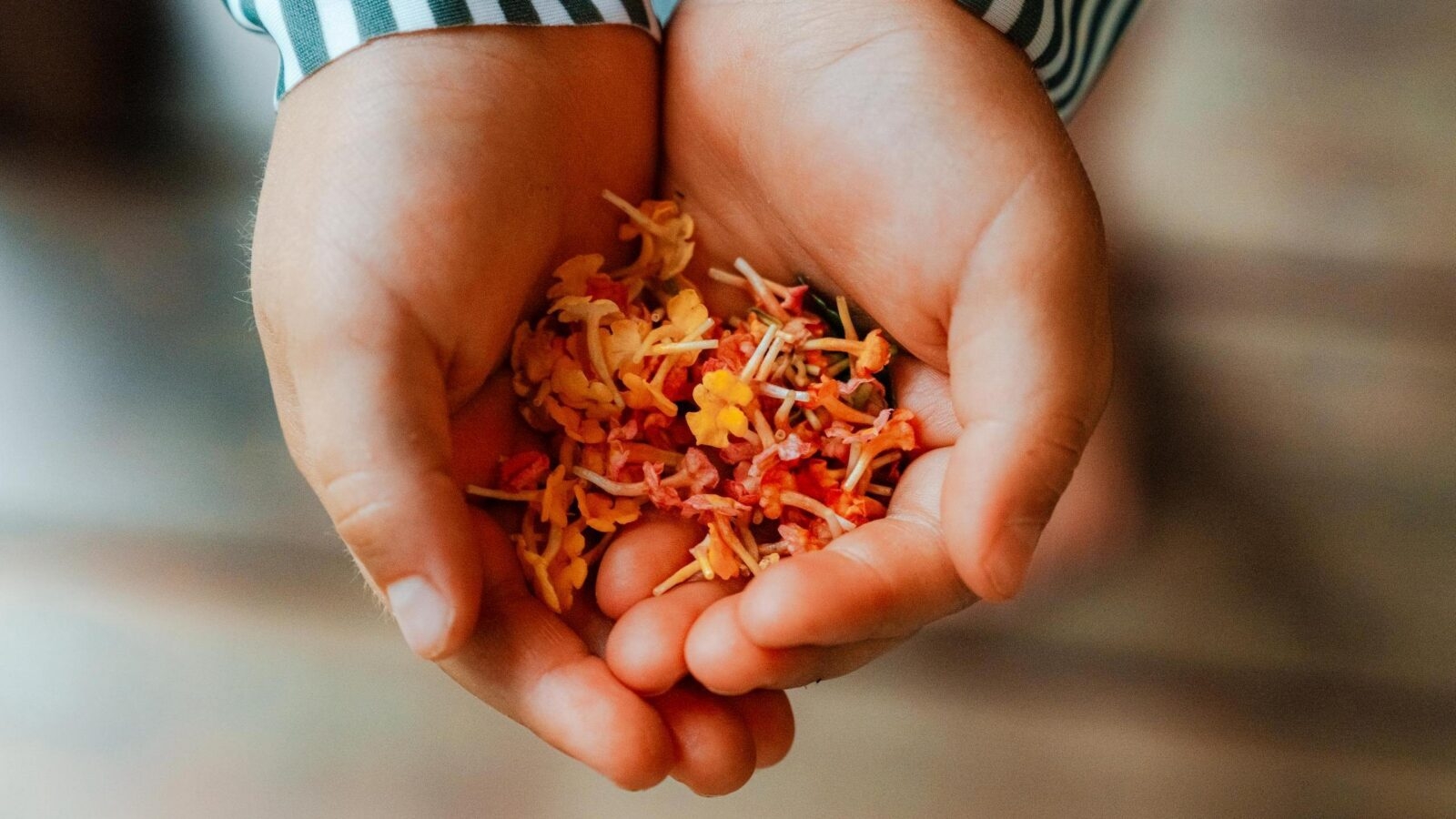 A child holds out their hands filled with freshly picked flowers in Thailand.