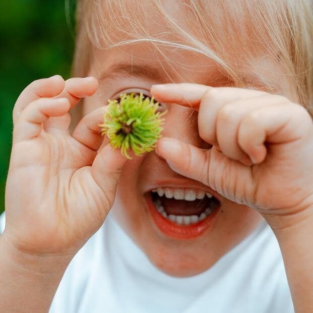A child holds a mangosteen - a popular and native fruit in Thailand.