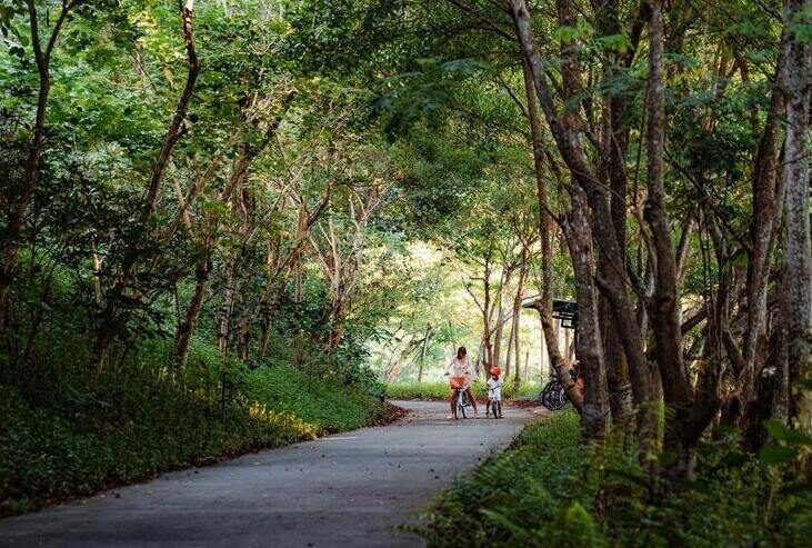 A woman and child on a bike under a canopy of trees.