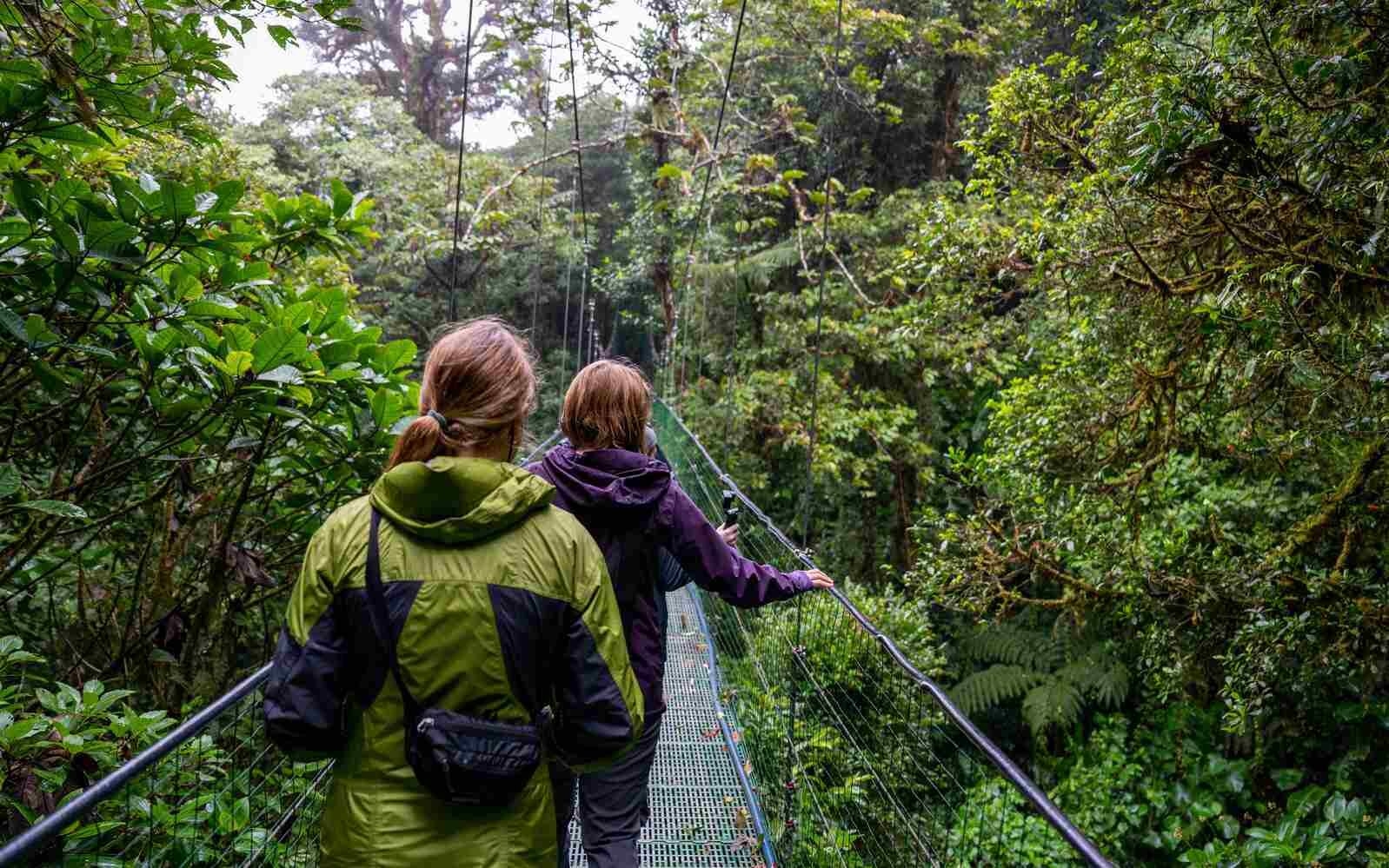 Navigate canopy walks in Costa Rica's dense cloud forests
