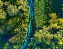 Aerial view of a river running through forest in Bonito, Brazil