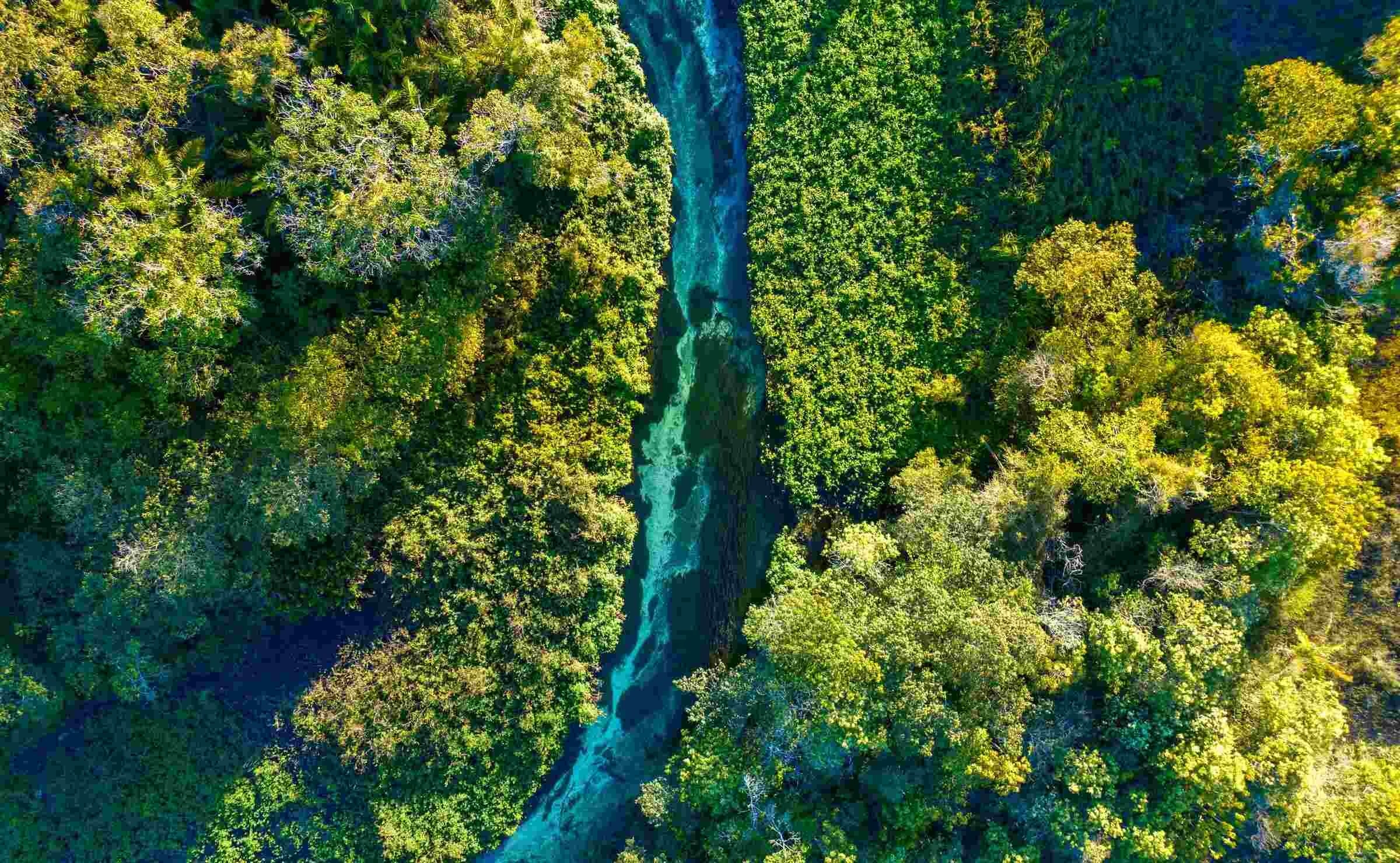 Aerial view of a river running through forest in Bonito, Brazil