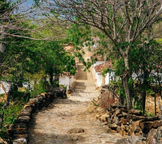 Cobblestone path of the camino real colombia lined with trees and stone walls, leading to white houses with tiled roofs.