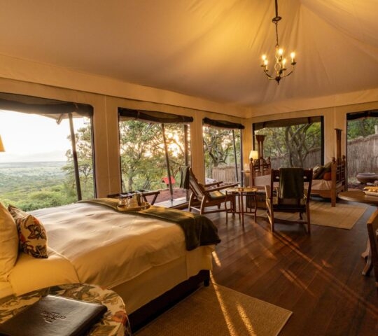 Interior of a luxury canvas safari tent with a large bed, wooden floors, and expansive windows overlooking a green savanna.