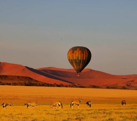 A hot air balloon flying in Sossusvlei, Namibia.