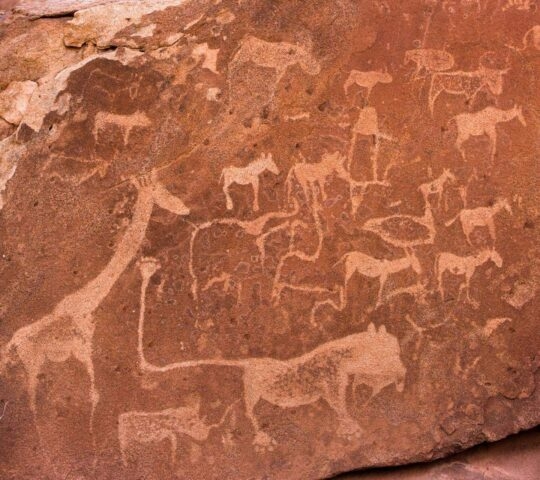 Ancient rock engravings depicting giraffes and other African wildlife.