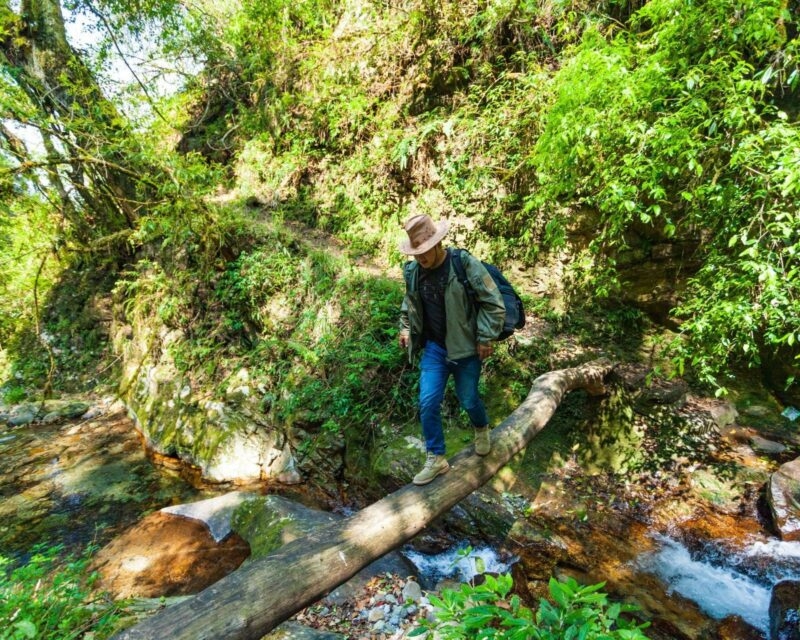 A hiker with a backpack and hat crossing a rocky stream by walking on a fallen log in a lush green forest in Brazil.