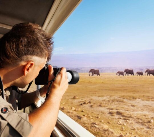 A man taking photos with a large camera lens from a safari vehicle window as elephants walk in the distance.