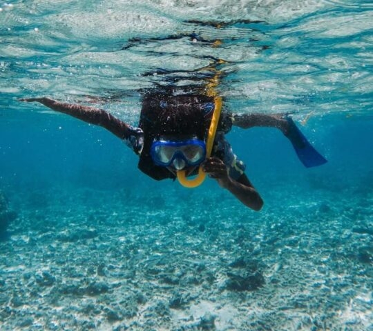 a person snorkelling in clear blue waters in Egypt's Red Sea