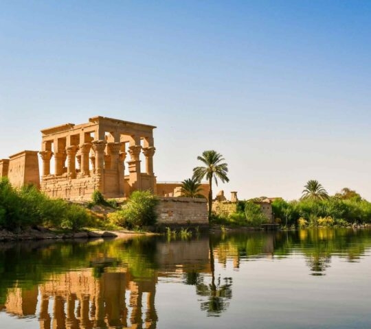The Philae temple on the banks of the river Nile surrounded by palm trees and greenery