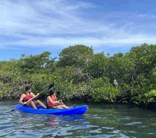 Two people kayaking to count seabirds around the Galapagos