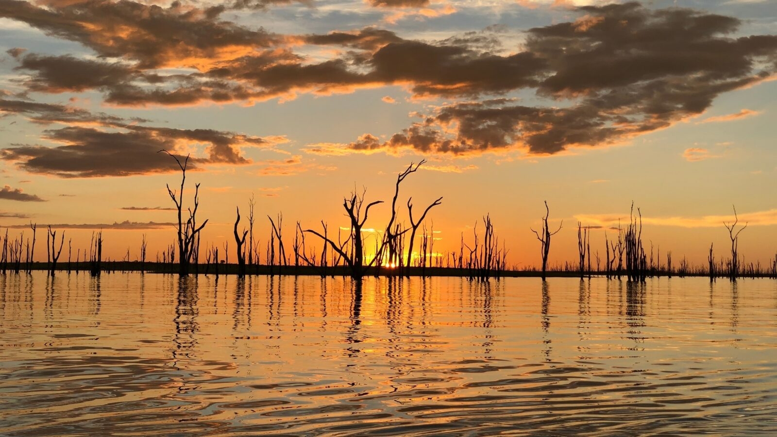 Silhouettes of dead trees emerge from the rippling waters of lake kariba under a dramatic golden and cloudy sunset sky.
