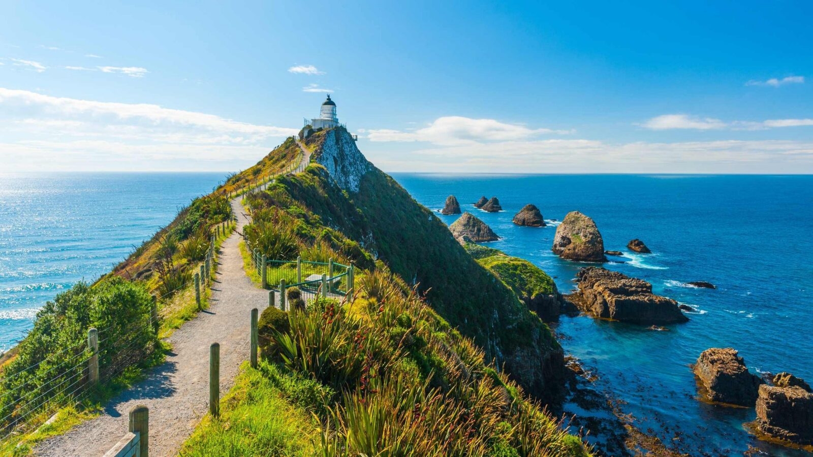 A narrow dirt walking path leading up a grassy ridge toward a lighthouse surrounded by the ocean.