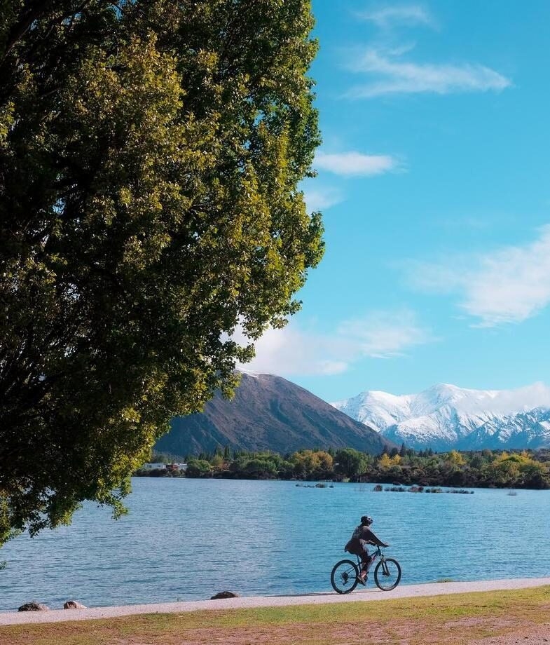 Look out for kea, the world's only alpine parrots, known for their curiosity and often found in mountainous areas such as the Southern Alps. Cycle along the shores of Lake Wakatipu, taking in views of the Remarkables mountain range.
