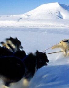 Iceland and Arctic Norway Adventure